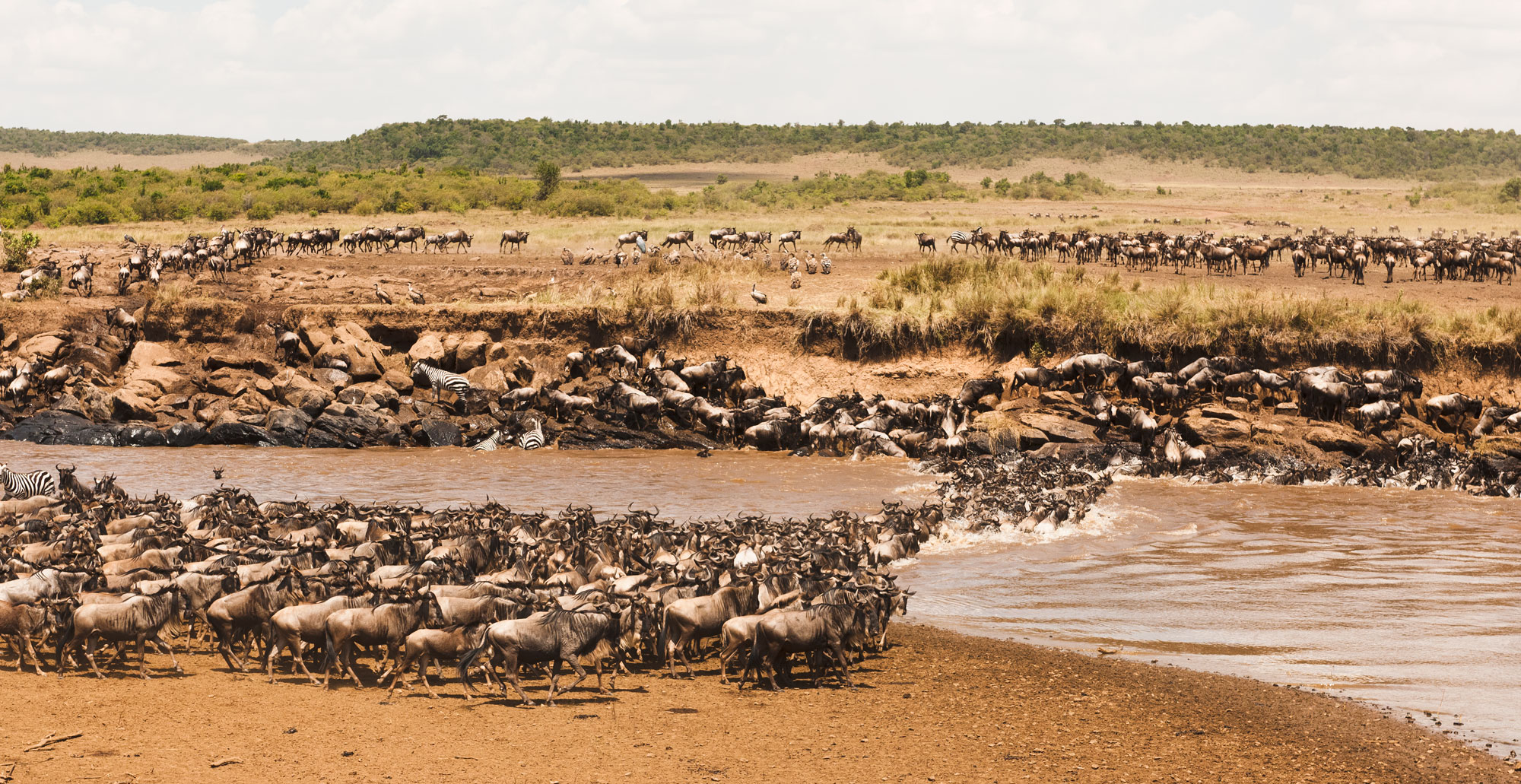 8 Days 7 Night Great Migration Safari